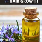 How to Use Rosemary Oil for Hair Growth​? - How to Use Rosemary Oil for Hair Growth? A Complete Guide
