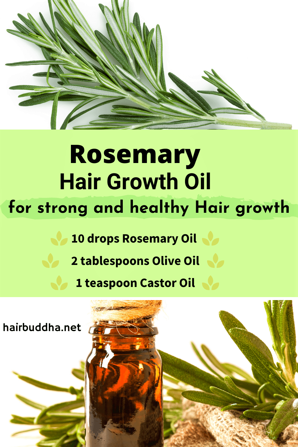 How to Use Rosemary Oil for Hair Growth? related image