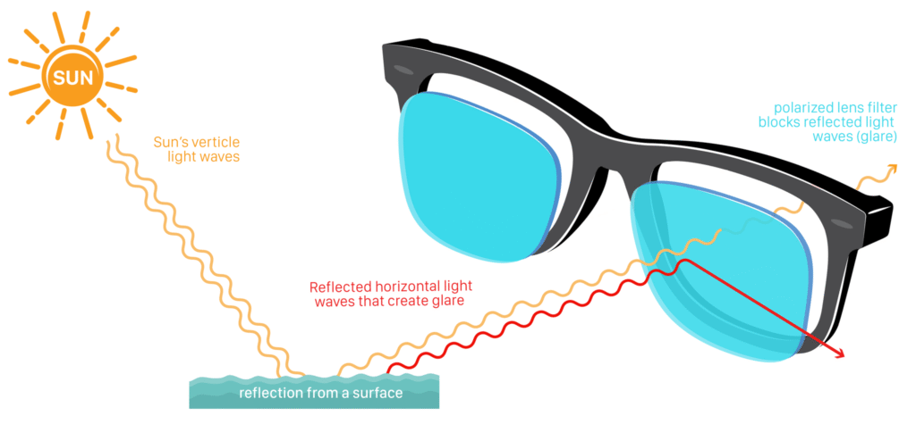 What Is Polarized Sunglasses​? - What Is Polarized Sunglasses? See Clearly Now